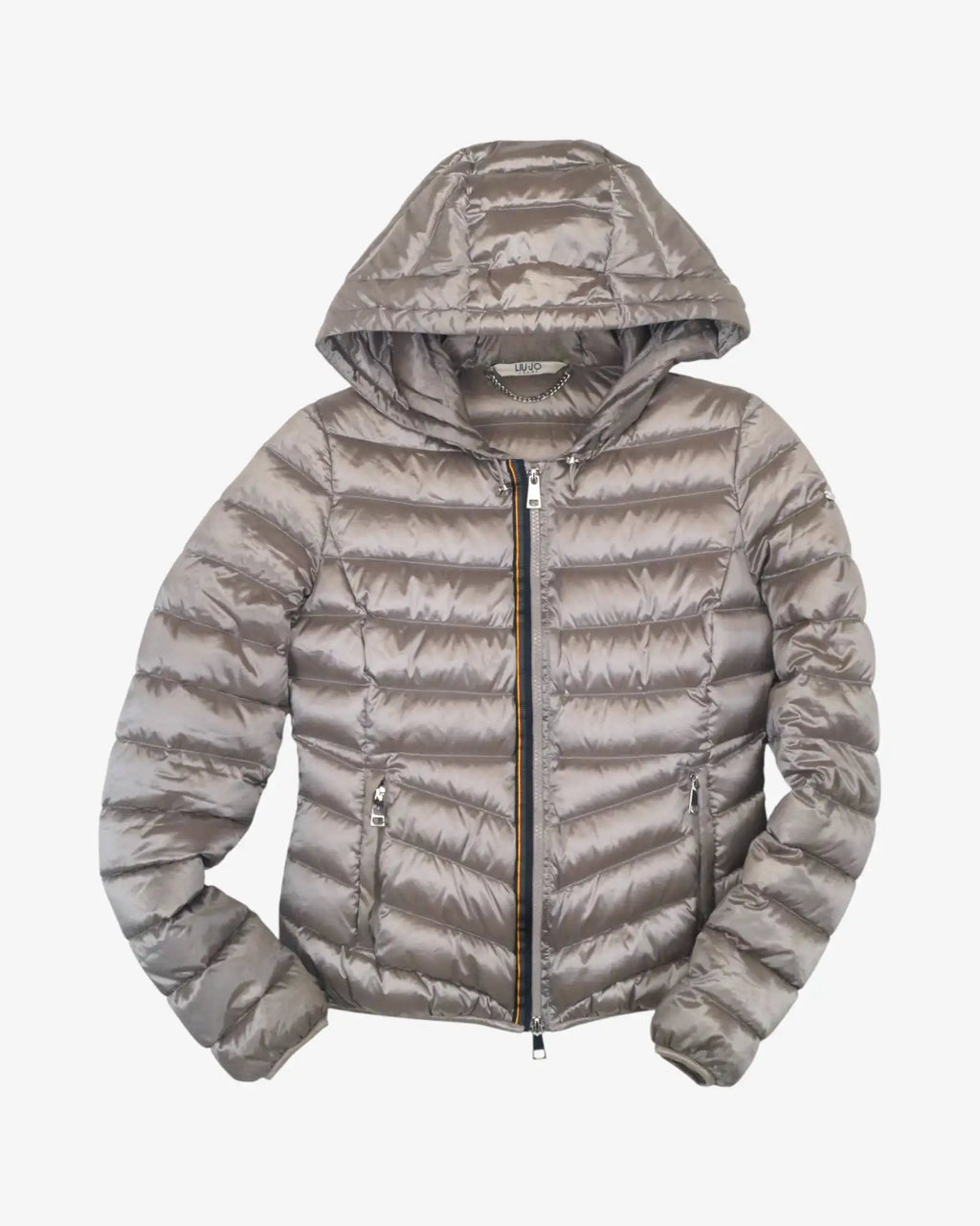 Anorak de plumas plateado